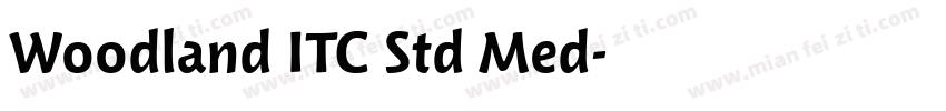 Woodland ITC Std Med字体转换